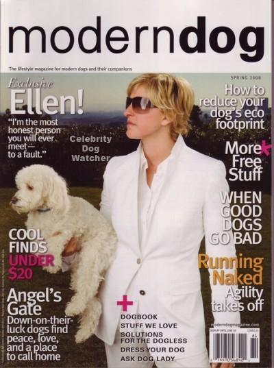 Modern Dog