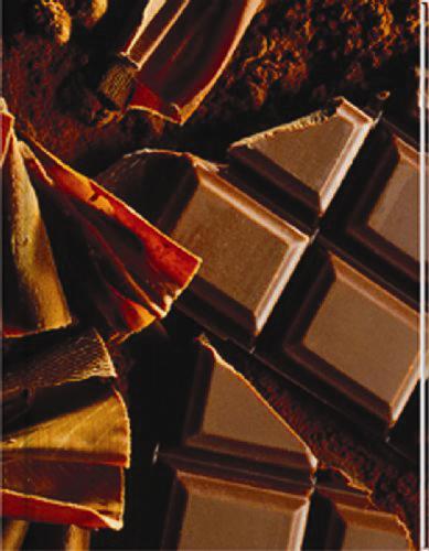 Chocolate Notebook (LG) - Blank Pgs/1 Ruled Sheet (HC)