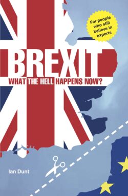 Brexit: What the Hell Happens Now?: Your Quick Guide