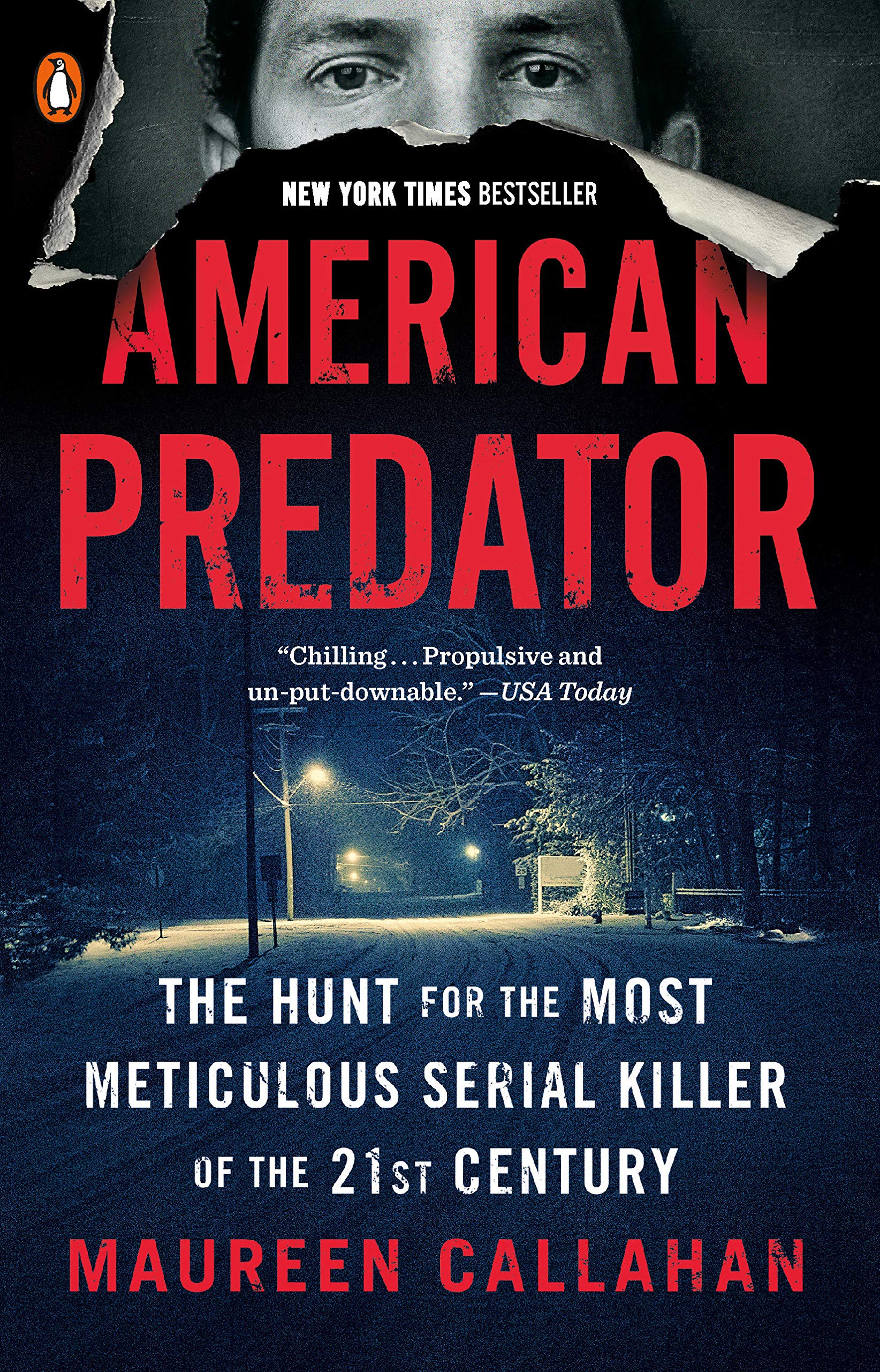 American Predator: The Hunt for the Most Meticulous Serial Killer of the 21st Century - Image 2