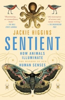Sentient: How Animals Illuminate the Wonder of Our Human Senses