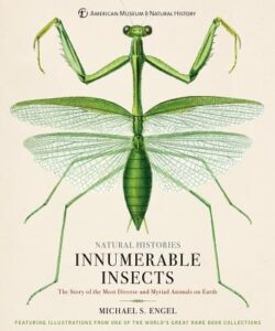 Innumerable Insects: The Story of the Most Diverse and Myriad Animals on Earth