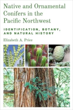 Native and Ornamental Conifers in the Pacific Northwest: Identification, Botany and Natural History