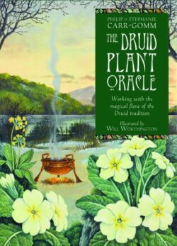 Druid Plant Oracle [With Booklet]