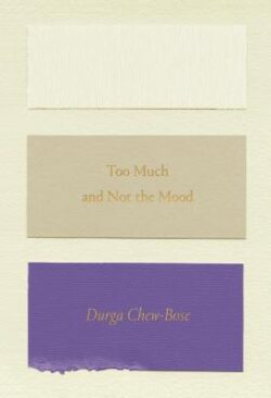 Too Much and Not the Mood: Essays