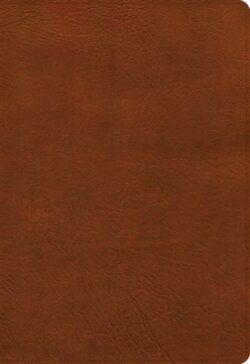 NASB Super Giant Print Reference Bible, Burnt Sienna Leathertouch, Indexed