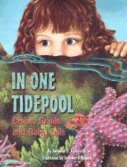 In One Tidepool: Crabs, Snails and Salty Tails