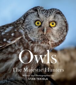 Owls: The Majestic Hunters
