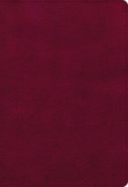 NASB Super Giant Print Reference Bible, Burgundy Leathertouch, Indexed
