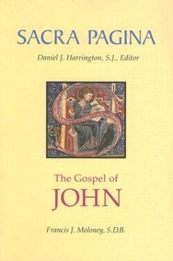 Sacra Pagina: The Gospel of John: Volume 4