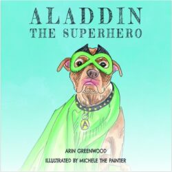 Aladdin the Superhero