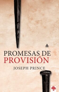 Promesas de Provisión / Provision Promises = Provision Promises