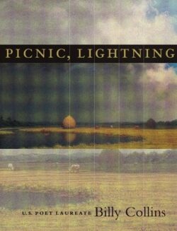 Picnic, Lightning