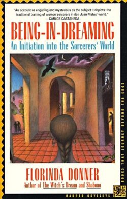 Being-In-Dreaming: An Initiation Into the Sorcerers' World
