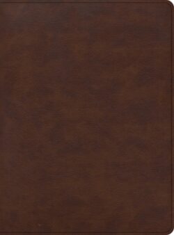 CSB Apologetics Study Bible for Students, Brown Leathertouch