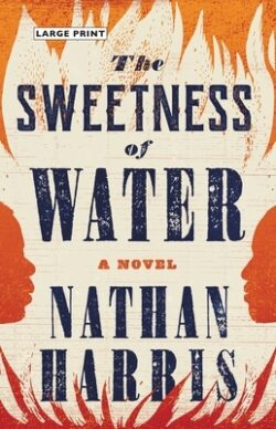 The Sweetness of Water