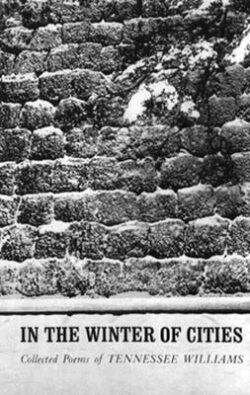 In the Winter of Cities: Poetry