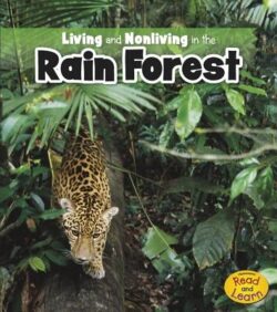 Living and Nonliving in the Rain Forest