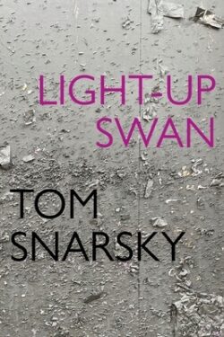Light-Up Swan