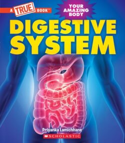 Digestive System (a True Book: Your Amazing Body)