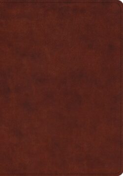 ESV Study Bible (Trutone, Chestnut)