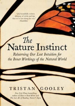 The Nature Instinct: Relearning Our Lost Intuition for the Inner Workings of the Natural World