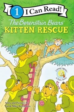The Berenstain Bears' Kitten Rescue: Level 1