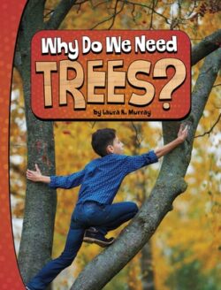 Why Do We Need Trees?