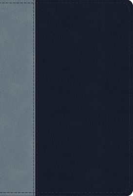 ESV Student Study Bible (Trutone, Navy/Slate, Timeless Design)