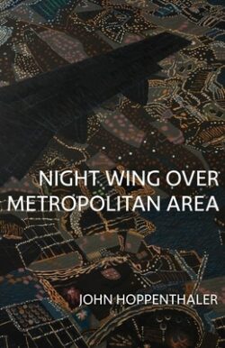 Night Wing Over Metropolitan Area