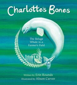 Charlotte's Bones: The Beluga Whale in a Farmer's Field