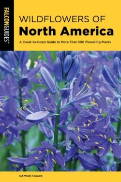 Wildflowers of North America: A Coast-To-Coast Guide to More Than 500 Flowering Plants