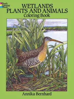 Wetlands Plants and Animals Coloring Book