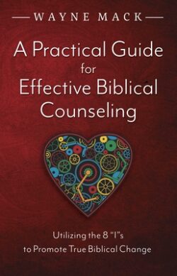 A Practical Guide for Effective Biblical Counseling: Utilizing the 8 Is to Promote True Biblical Change
