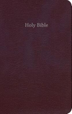 Gift & Award Bible-Ceb