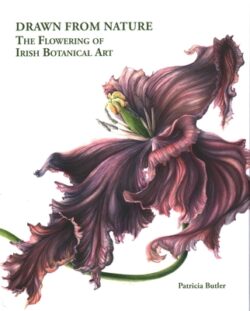Drawn from Nature: The Flowering of Irish Botanical Art