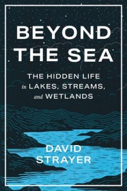 Beyond the Sea: The Hidden Life in Lakes, Streams, and Wetlands