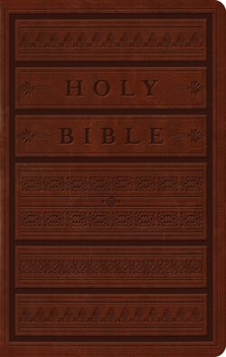 ESV Large Print Personal Size Bible (Trutone, Brown, Engraved Mantel Design)