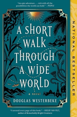 A Short Walk Through a Wide World