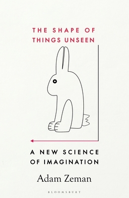 The Shape of Things Unseen: A New Science of Imagination