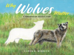 Why Wolves Matter: A Conservation Success Story