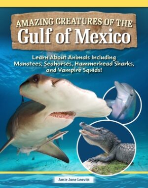 Amazing Creatures of the Gulf of Mexico: Learn about Animals Including Manatees, Seahorses, Hammerhead Sharks, and Vampire Squids!
