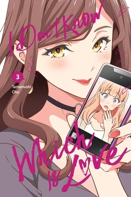 I Don't Know Which Is Love, Vol. 3: Volume 3