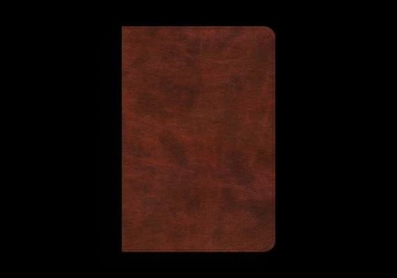 ESV Bible Promises: 700 Passages to Strengthen Your Faith (Trutone, Brown)