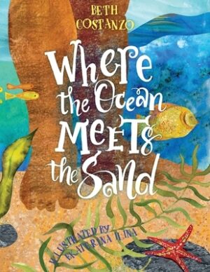 Where the Ocean Meets the Sand - Children's Book of the Ocean for Ages 3-8, Discover All The Exciting Things You Can See & Do On a Beach - Beautifully