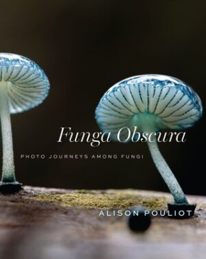 Funga Obscura: Photo Journeys Among Fungi