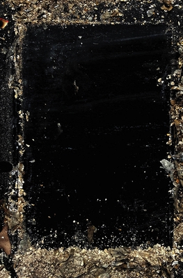 Baron Wenckheim's Homecoming