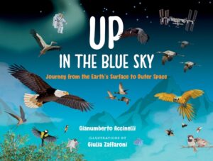 Up in the Blue Sky: Journey from the Earth's Surface to Outer Space