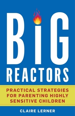 Big Reactors: Practical Strategies for Parenting Highly Sensitive Children