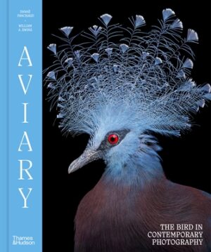 Aviary: The Bird in Contemporary Photography